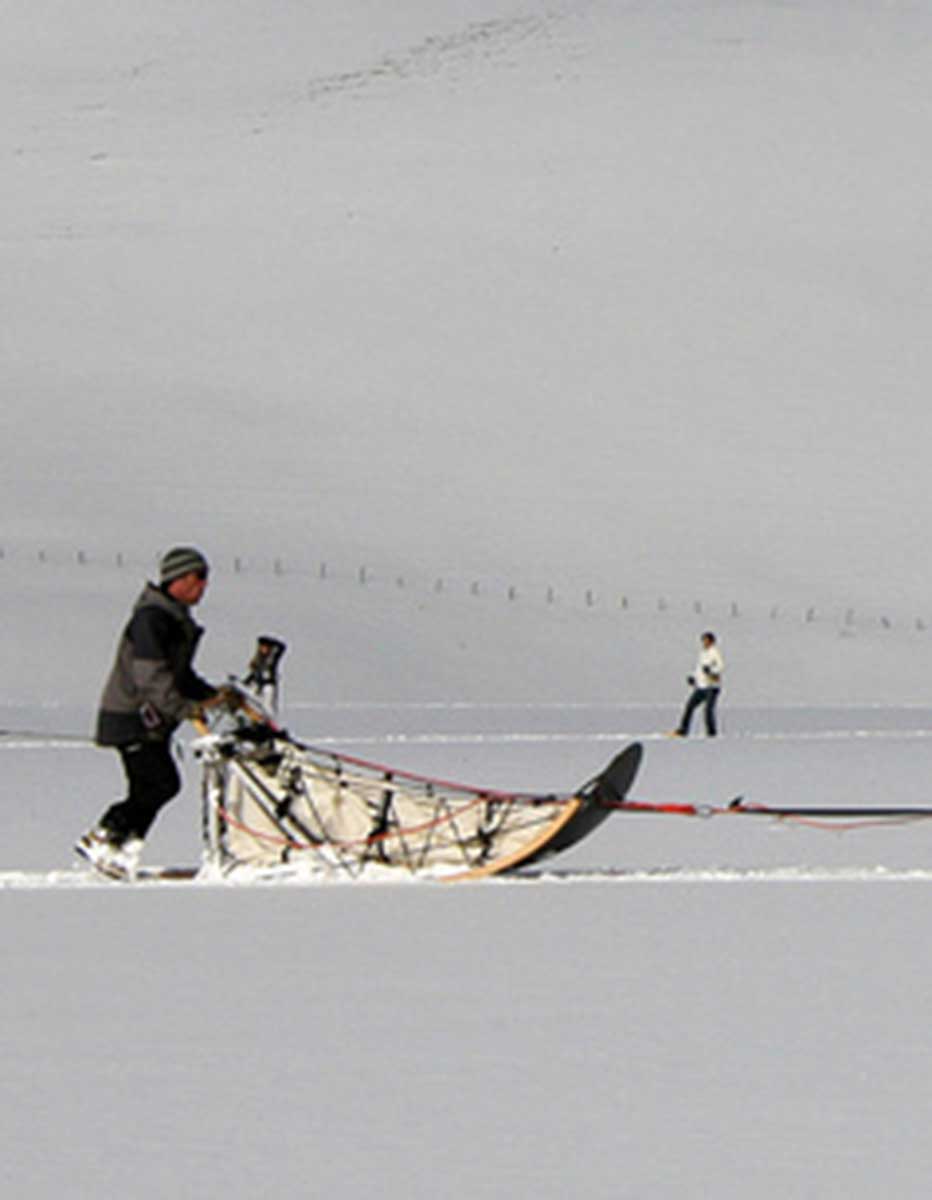dog sledding in the french pyrenees image of