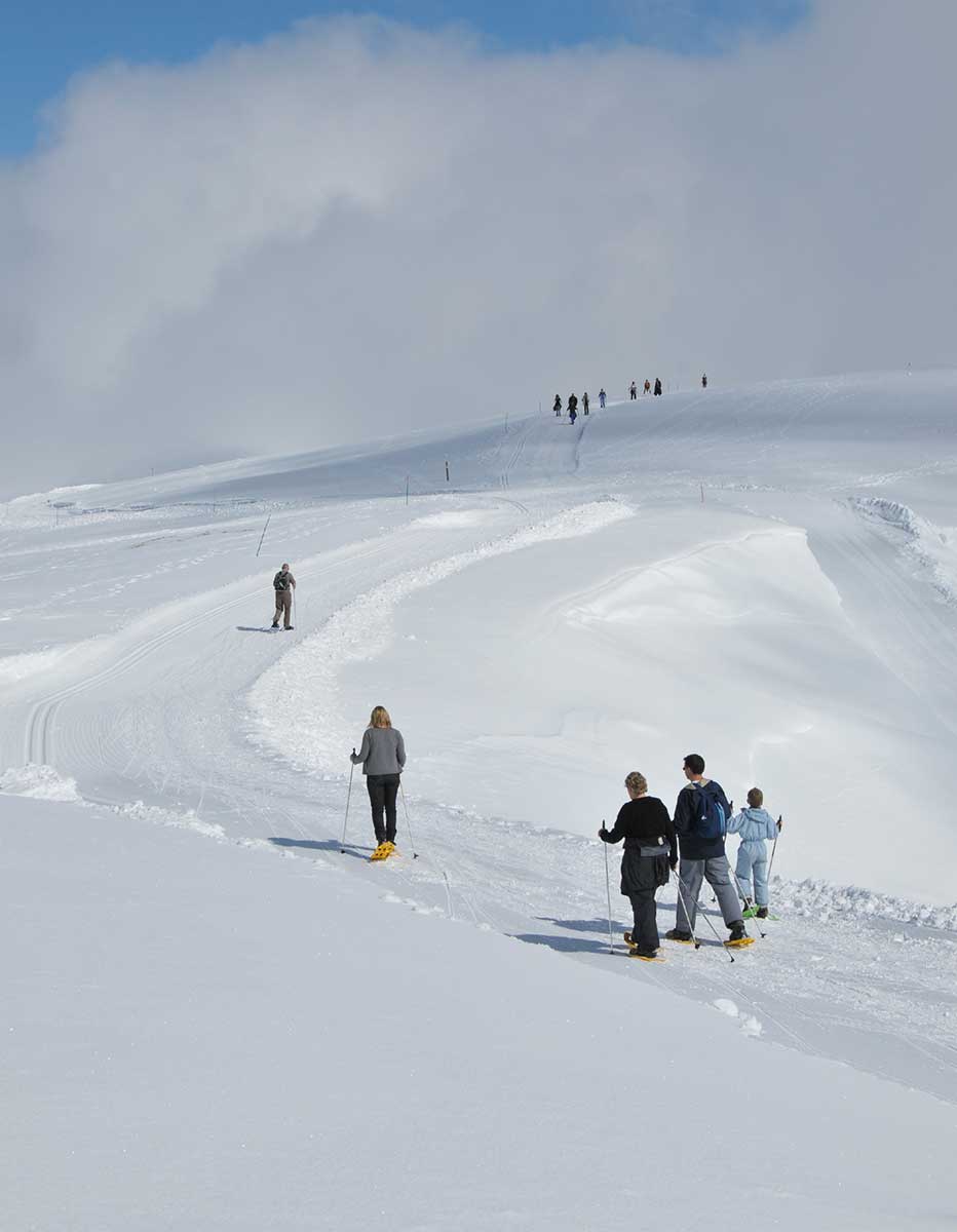 Snow Shoe Trekking in the french pyrenees image of